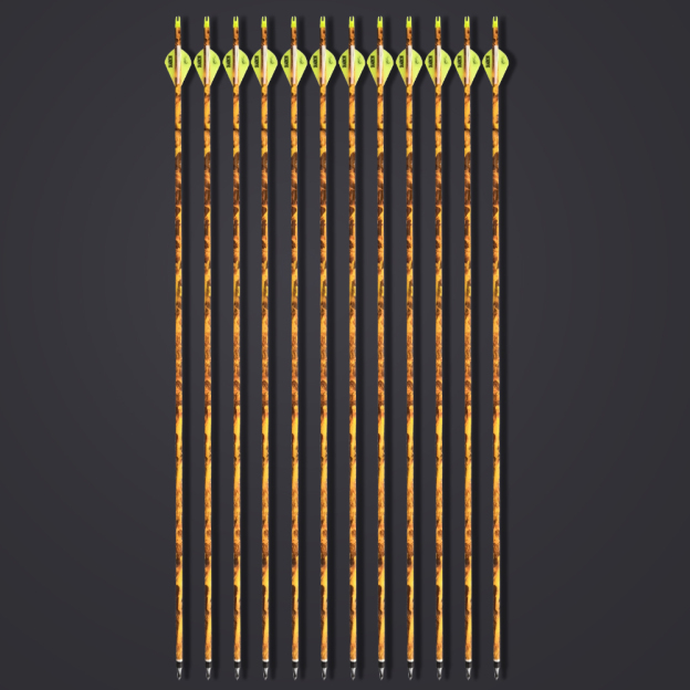 30" 600 Spine Carbon Arrows for Target & Practice