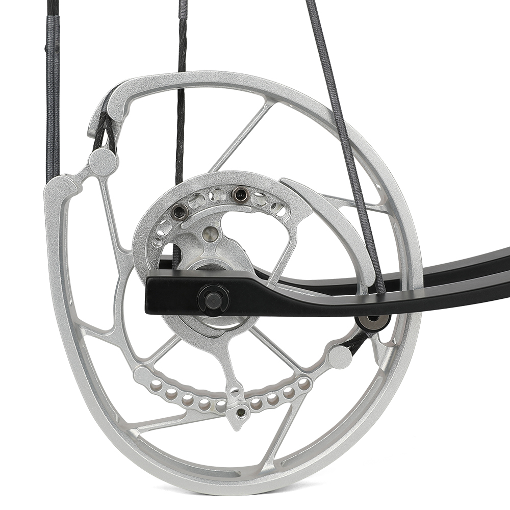 ROBIN KING 201 35-70lbs Compound Bow Steel Ball Arrows RH LH Dual-use