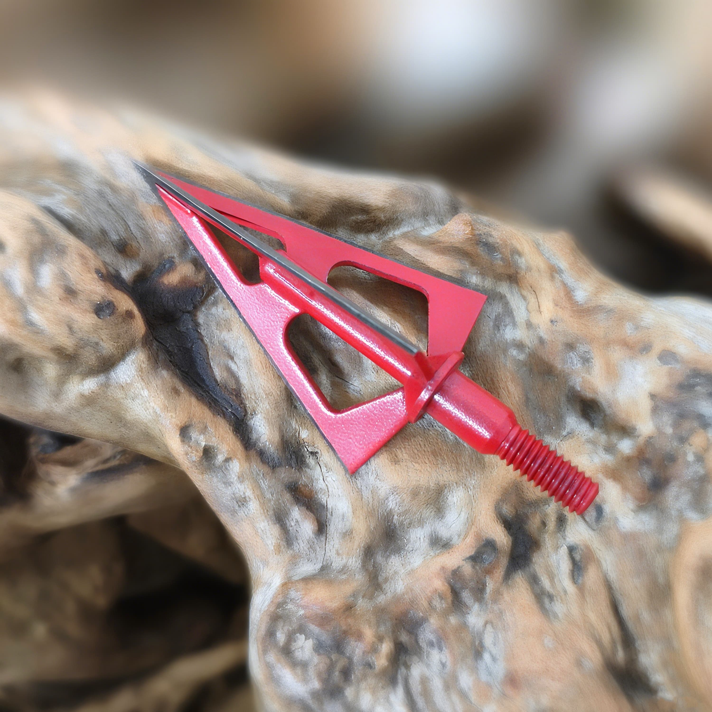 Archery 3-Blade Hunting Broadheads 100 Grain Fixed Blade Arrow Tips
