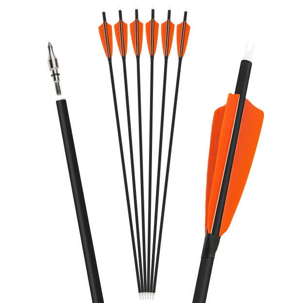 Carbon Arrows Turkey Feather Spine 500 Archery Hunting Practice