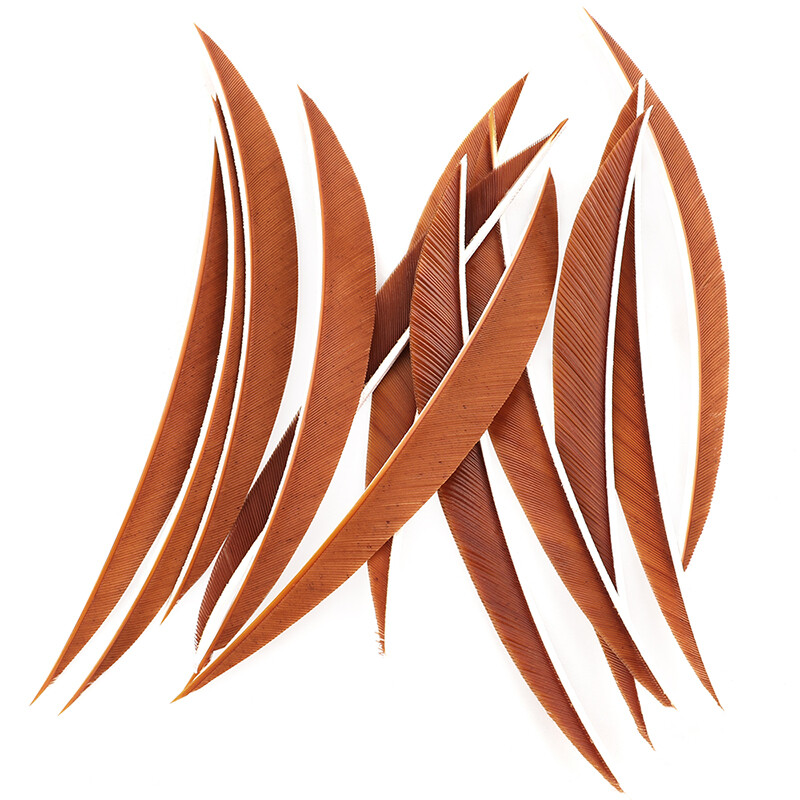 Natural Turkey Arrow Feathers 5" Traditional Fletching 50pcs