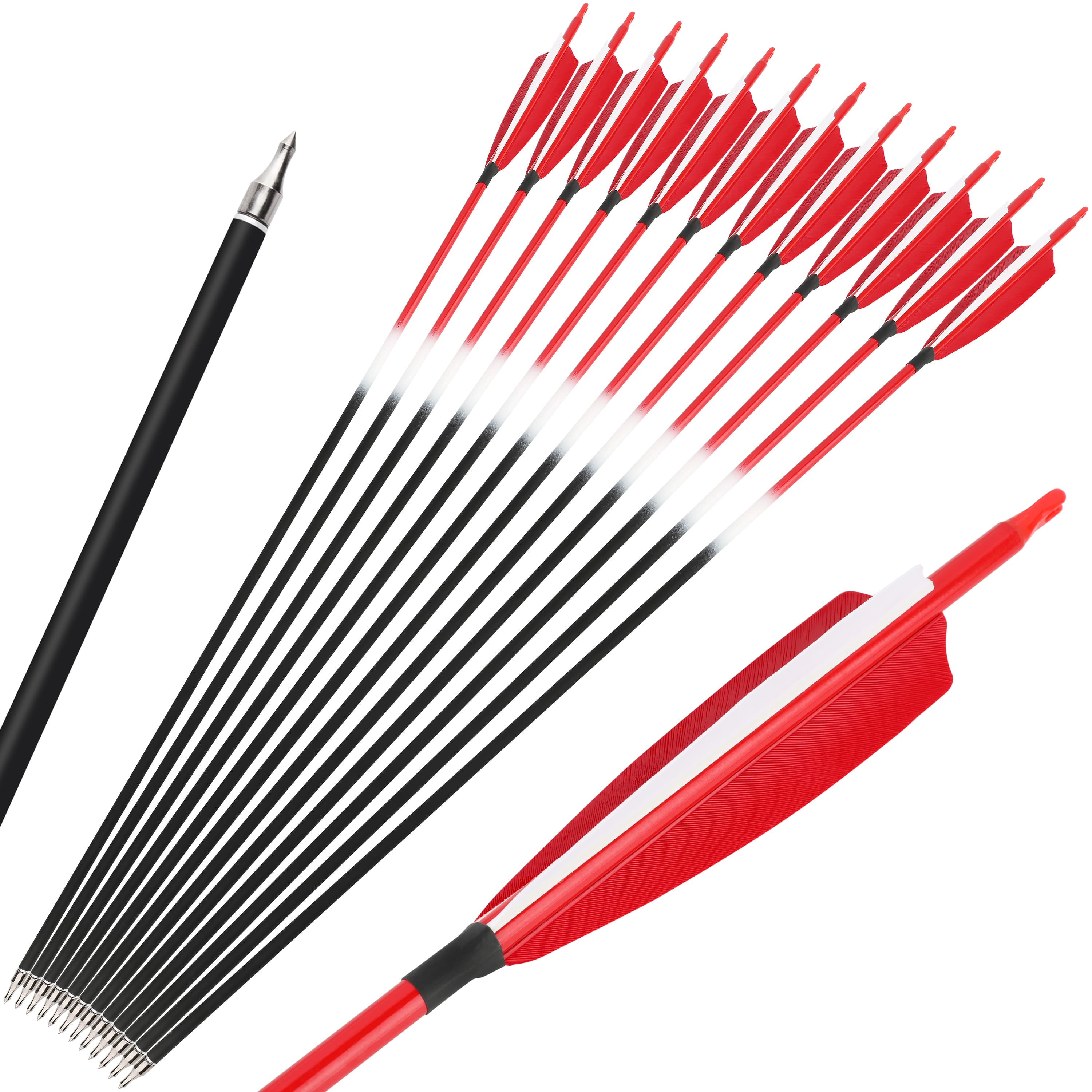 Fletching Carbon Arrows 500 Spine Turkey Feather Target & Hunting