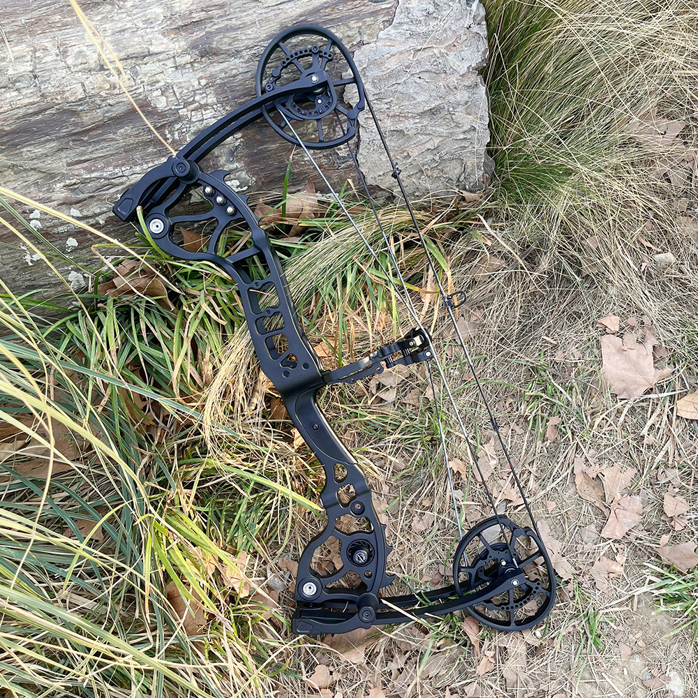 20-70lbs Compound Bow set Archery Shooting Balls