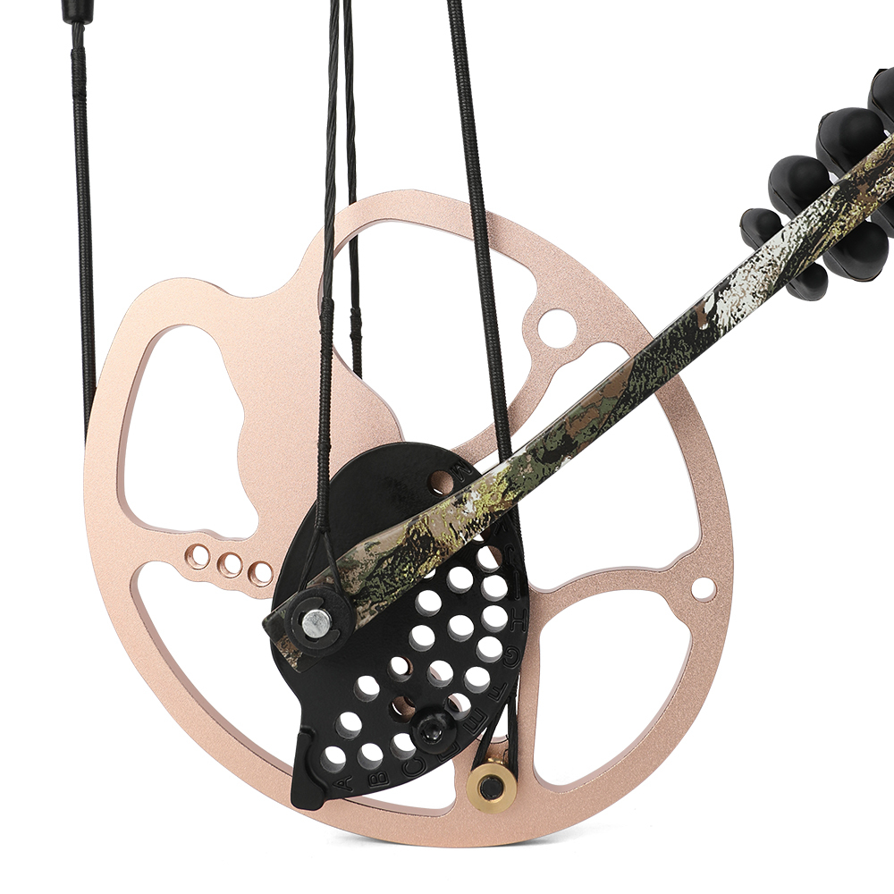 Archery Compound Bow Set 0-70lbs Let-off 80% Target