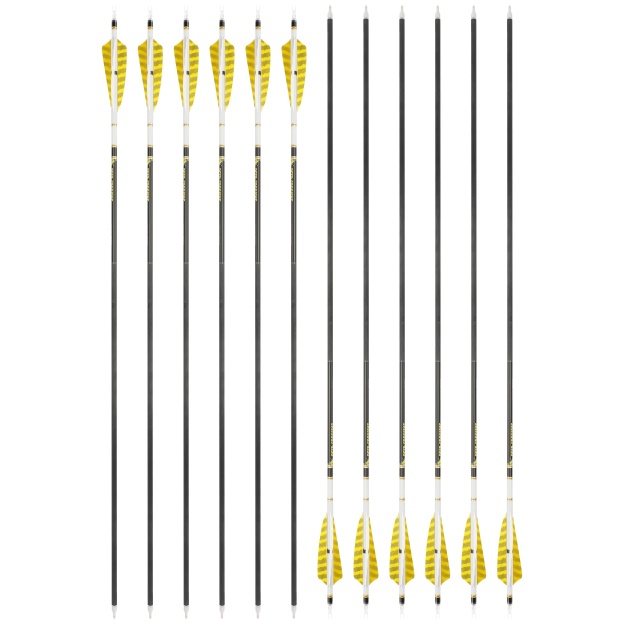 DEER CROSSING Pure Carbon Arrows Spiral Fletched Target & Practice