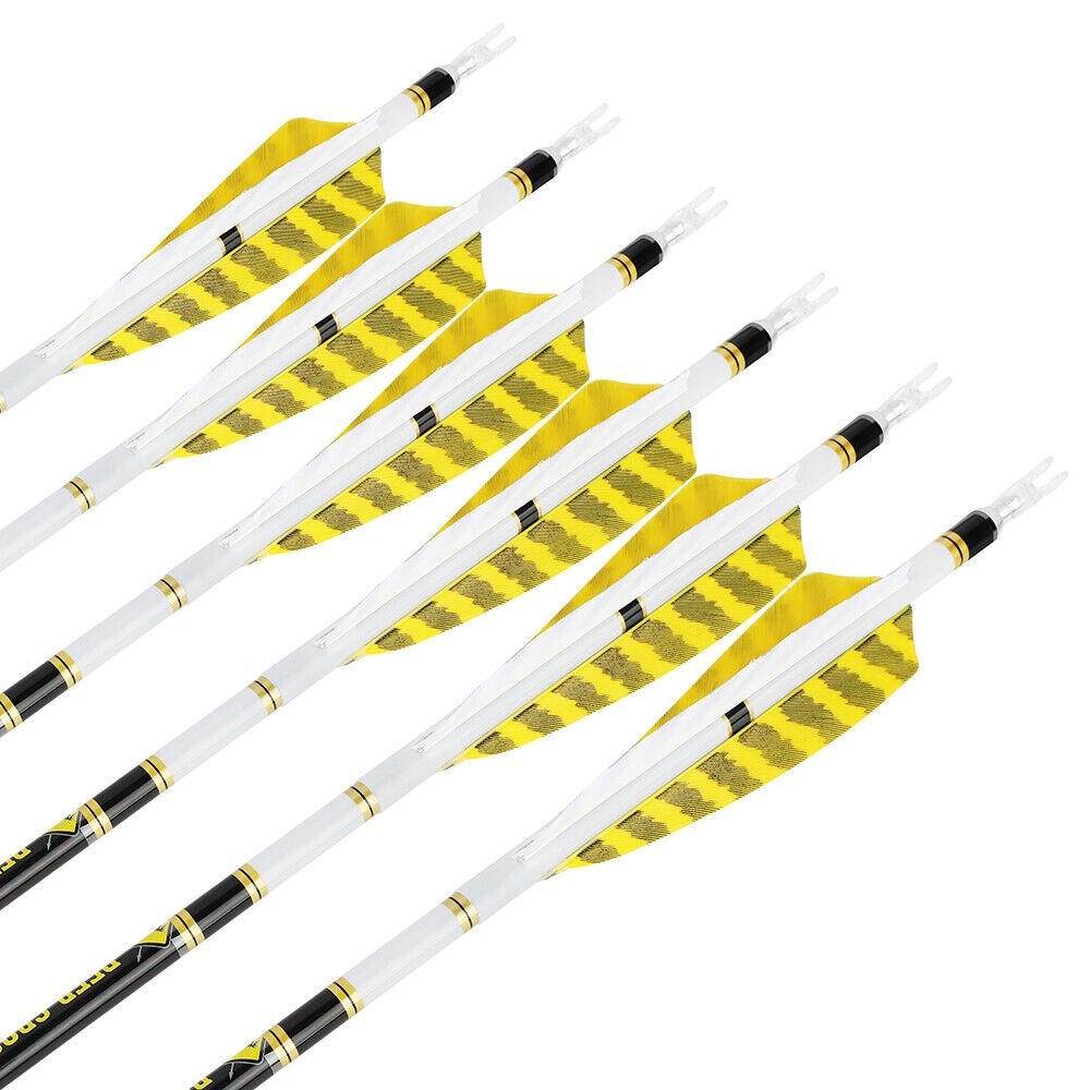 31'' Hunting Arrow Pure Carbon 4'' Turkey Feather SP250-600