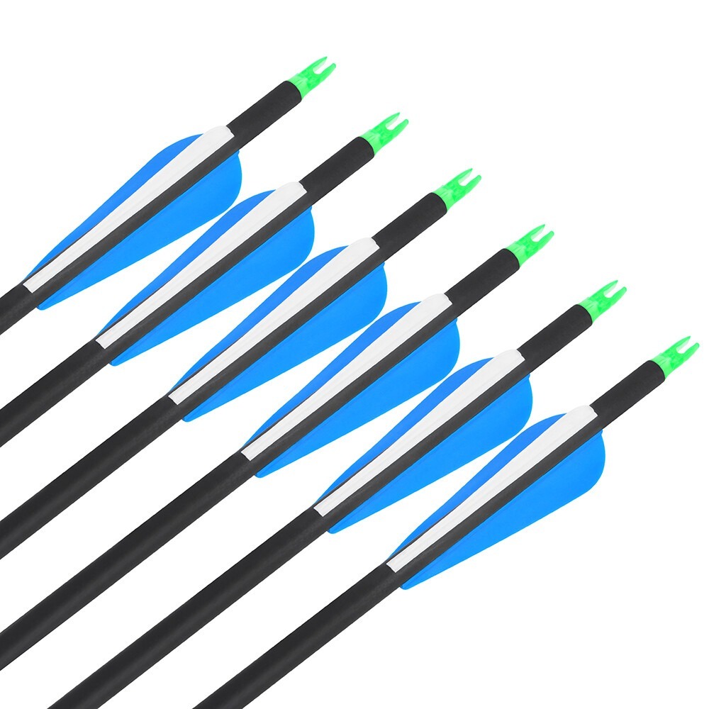 100 grain replaceable tip carbon arrows