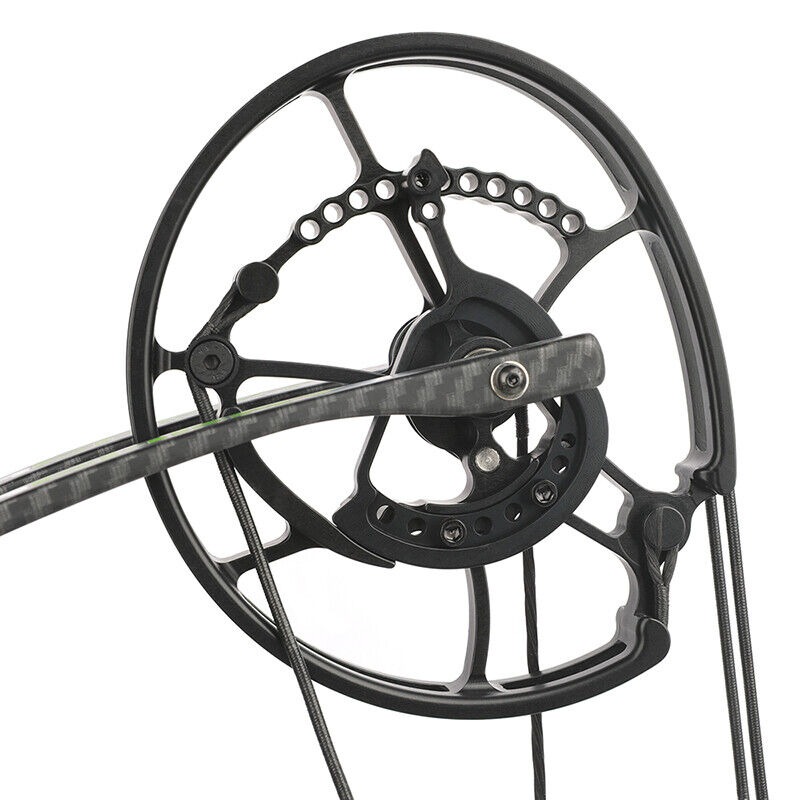 ALIEN 24 inch Compound Bow Steel Balls Arrows Hunting Fishing LH RH 