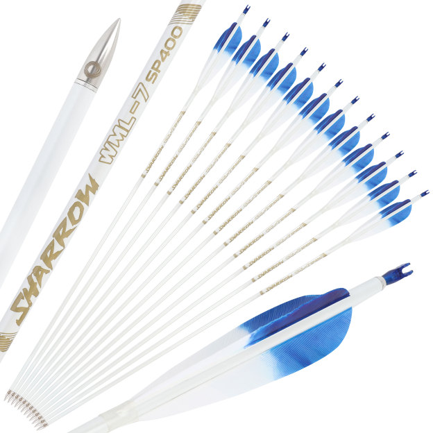  Pure Carbon Hunting Arrows Fletched Feather Spine 400-800