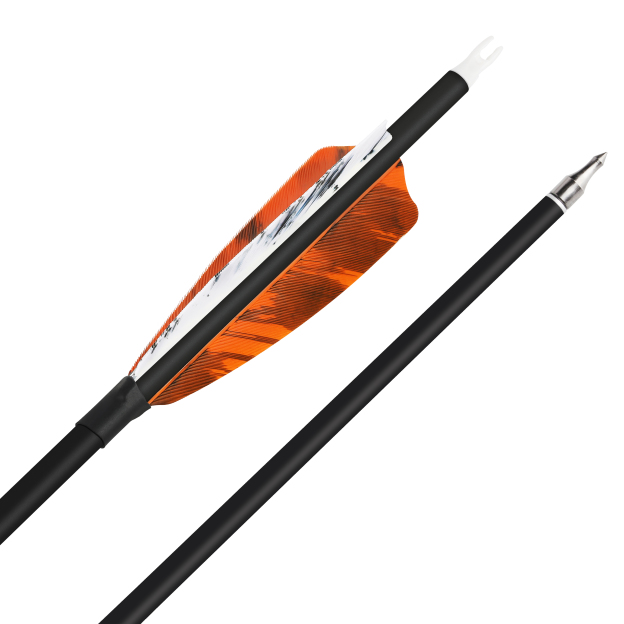 Hunting Practice Arrow Natural Feather Carbon Spine 500