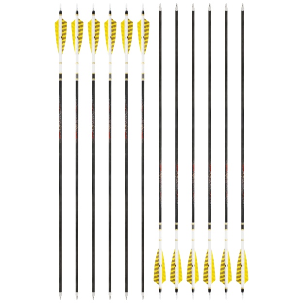 31" Pure Carbon Arrows SP250-600 Feathers Hunting Target