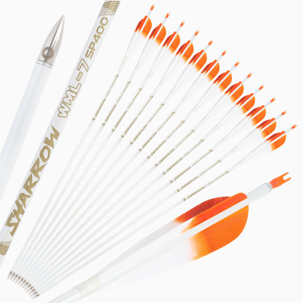  Pure Carbon Hunting Arrows Fletched Feather Spine 400-800