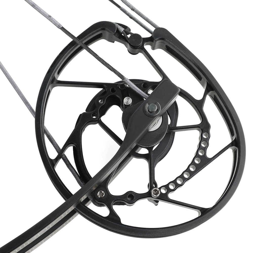 ROBIN KING 201 35-70lbs Compound Bow Steel Ball Arrows RH LH Dual-use