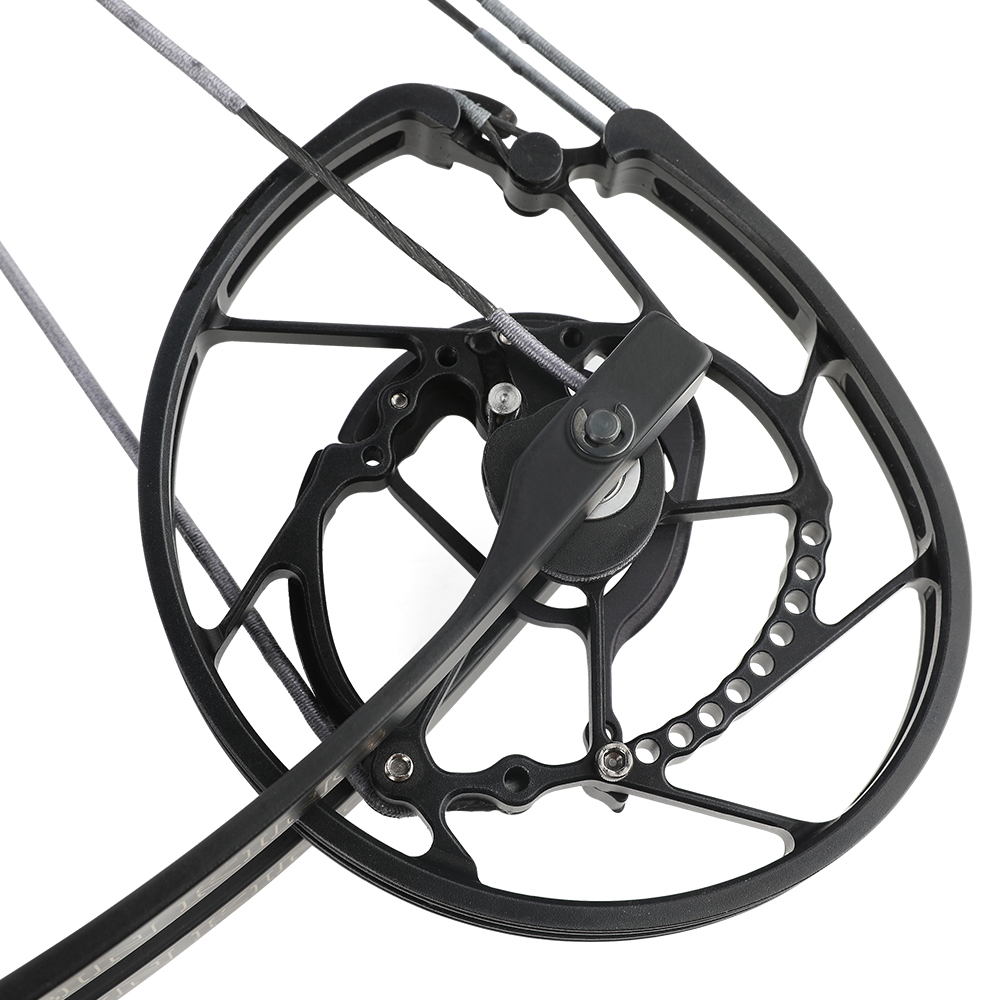 ROBIN KING 201 35-70lbs Compound Bow Steel Ball Arrows RH LH Dual-use