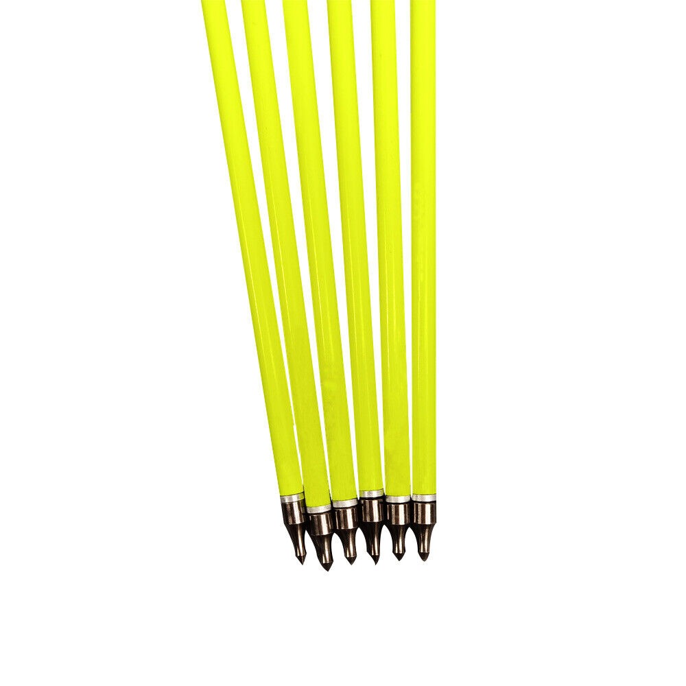 Carbon Archery Arrows 500 Spine 100gr Removable Tips  2" Rubber Vanes