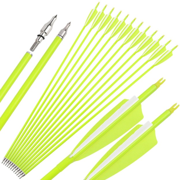 12pcs Archery Carbon Arrows 30" SP500 SP600 Feathers  Hunting Target
