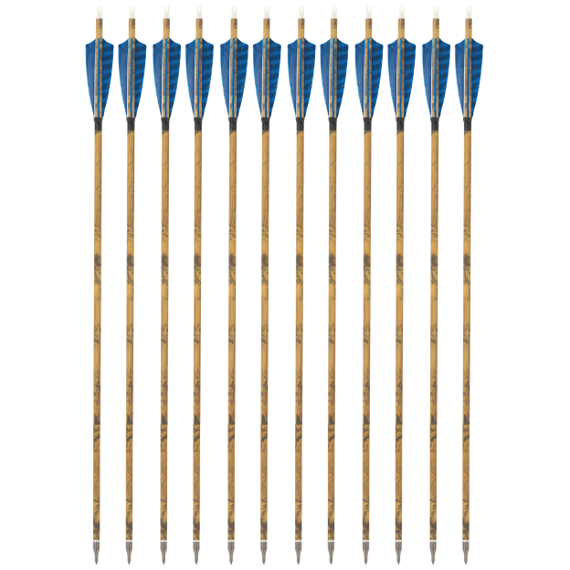 12pcs Carbon Mix Arrows 500 Spine, 31" Target Practice & Hunting