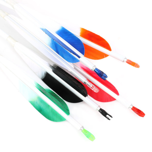  Pure Carbon Hunting Arrows Fletched Feather Spine 400-800