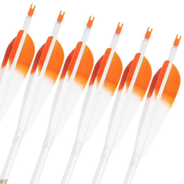  Pure Carbon Hunting Arrows Fletched Feather Spine 400-800
