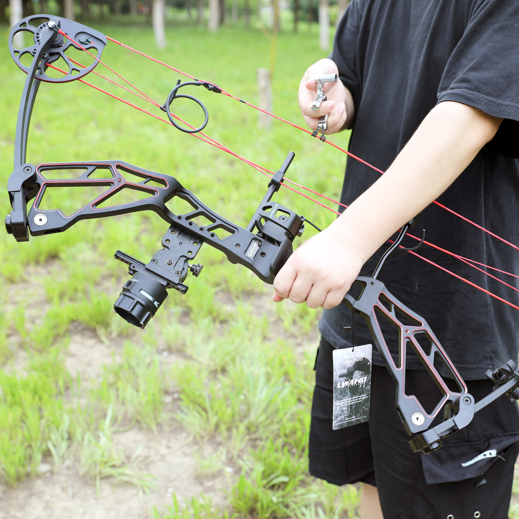 WOLFMAN Archery Compound Bow Arrows 30-70lbs Target Shooting RH