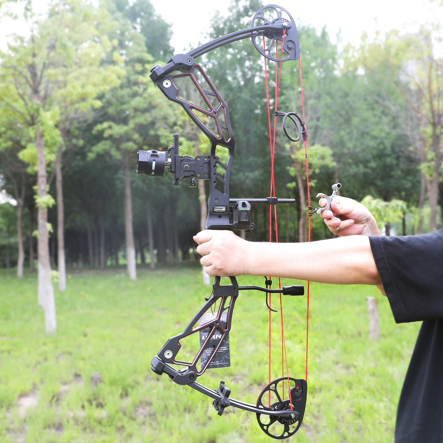 WOLFMAN Archery Compound Bow Arrows 30-70lbs Target Shooting RH