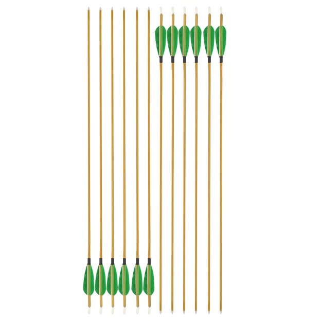 Mixed Carbon Arrows 32" 900 Spine Turkey Feather Target & Practice