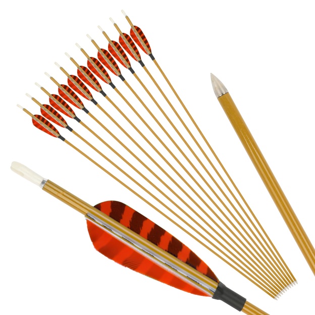 Mixed Carbon Arrows 32" 900 Spine Turkey Feather Target & Practice