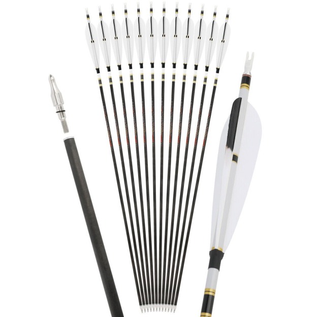 31 inch Pure Carbon Arrow SP250-600 Recurve Bow Compound Bow Hunting