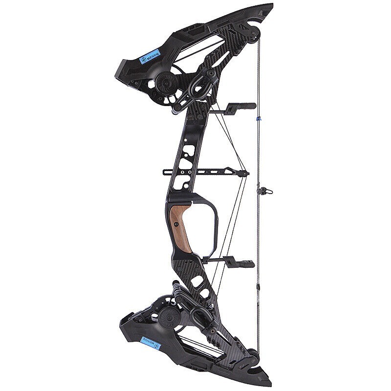 MENGQ Archery Compound Bow Set 21.5-60lbs Steel Ball Dual Use Hunting