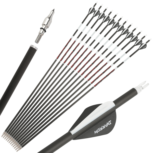 Pure Carbon Arrow Luminous SP300-600 Vanes Archery Hunting