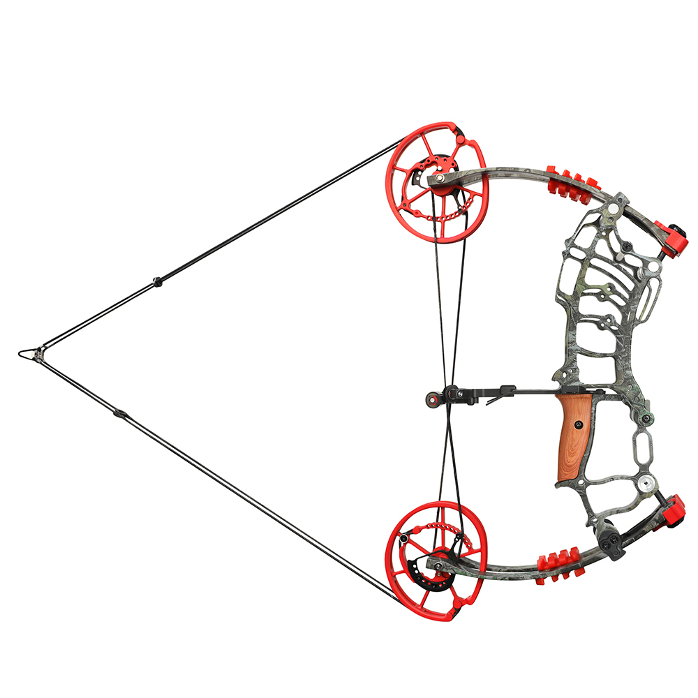 Dual-Use Compound Bow Set 19" Shoots Arrows Steel Balls RH LH