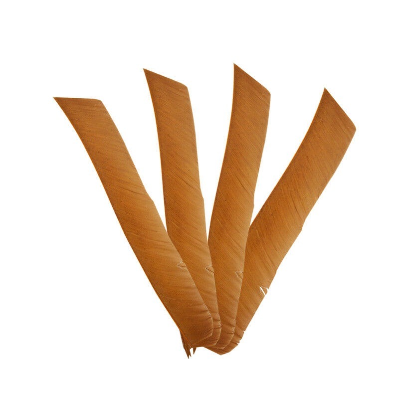 Natural Archery Arrow Feathers - Left Wing, 7-10" (20-29cm)