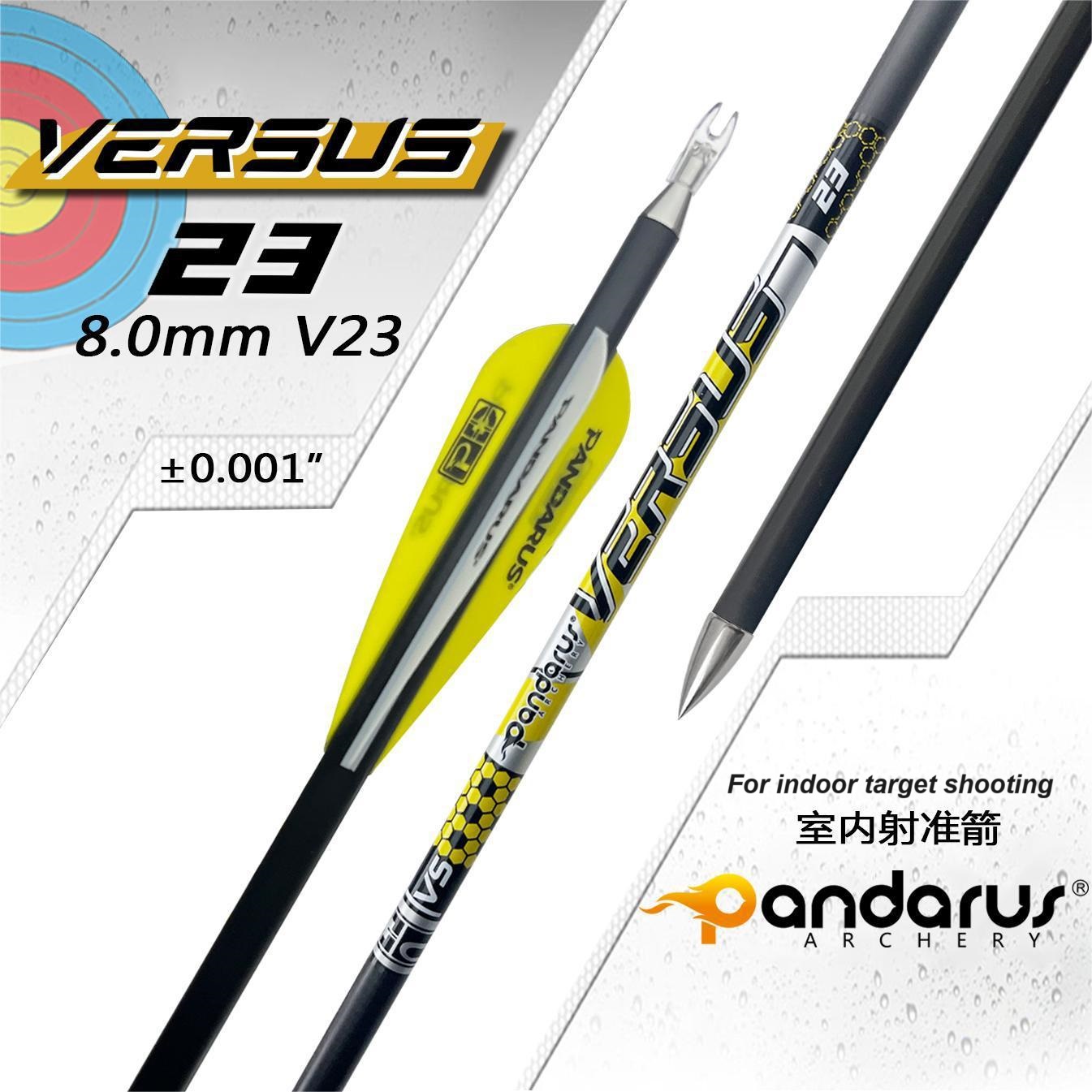 PANDARUS V23 Target Competition Arrows Pure Carbon ID8mm .001