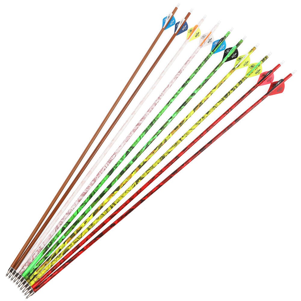 Carbon Arrow 30" Spine 500 Screw Tips Compound Recurve Bow Hunting