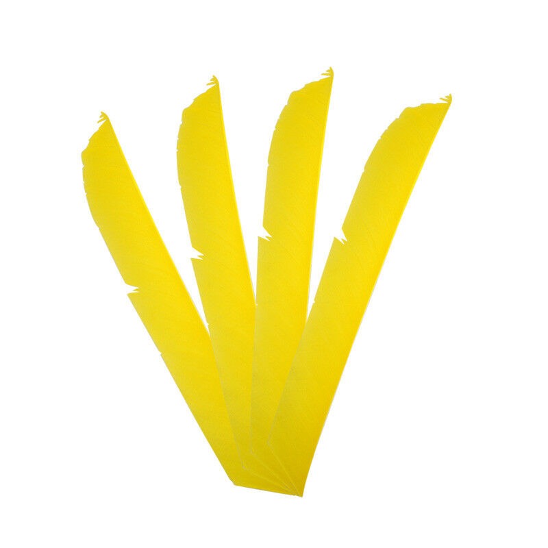 Turkey Fletches Full Length Arrow Feathers Archery DIY Left Wings