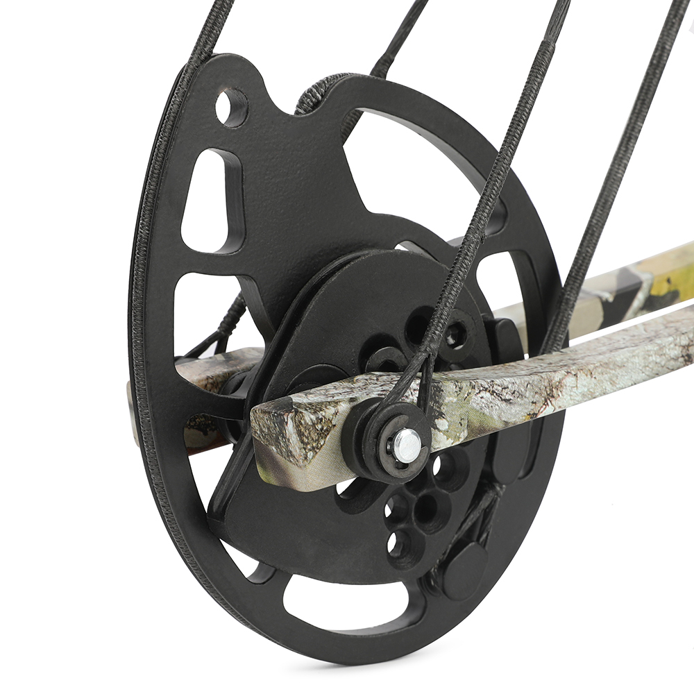 Hunting 20-70lbs Compound Bow Set Archery RH LH Let-off 80%