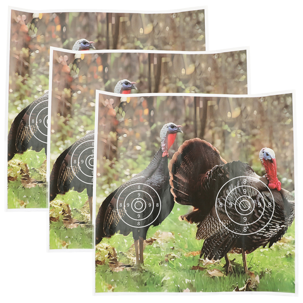 Takedown Recurve Bow and Arrow Set for Adults Beginner 30-40lbs LH RH