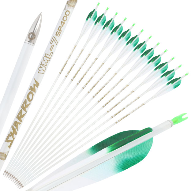  Pure Carbon Hunting Arrows Fletched Feather Spine 400-800