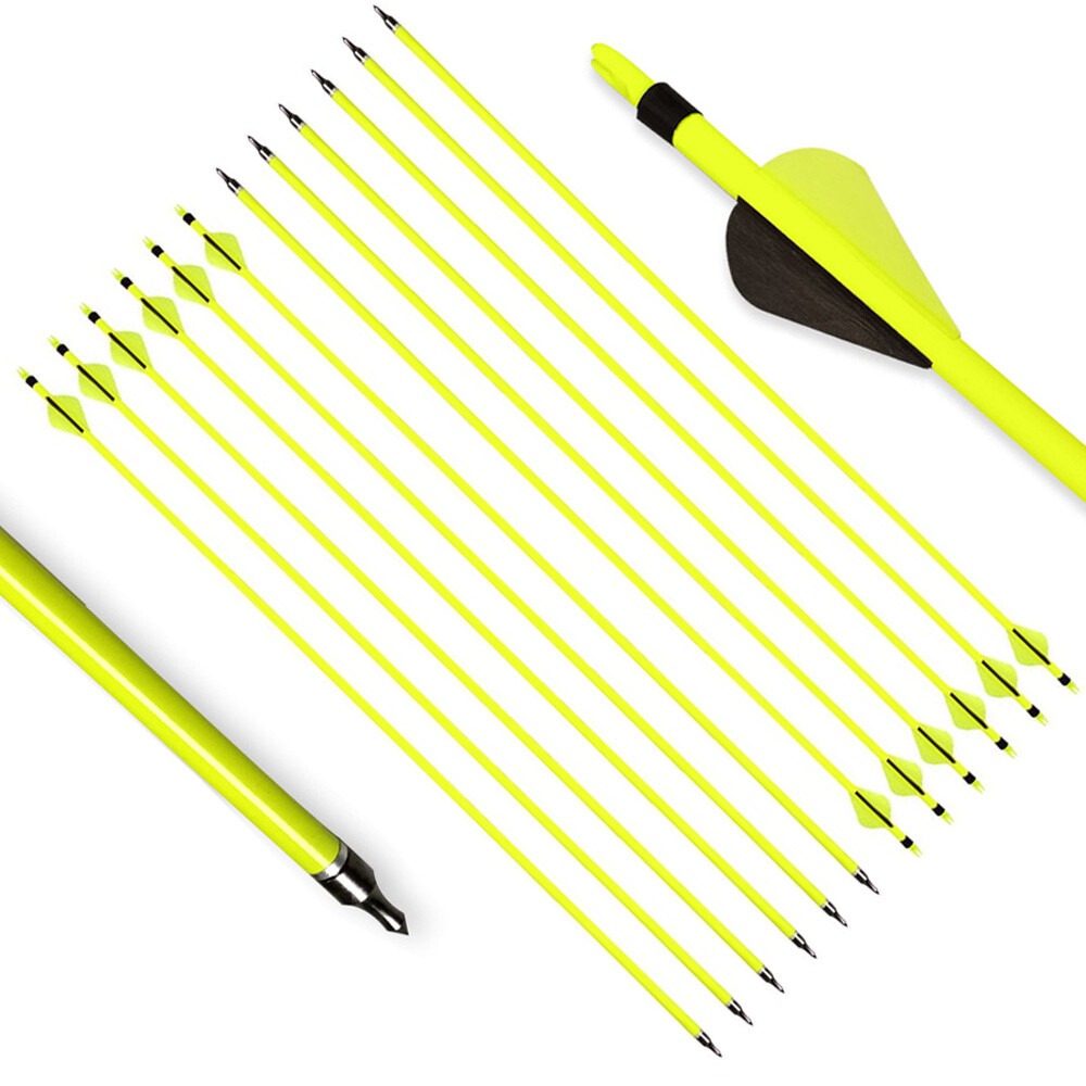 100 grain removable tip archery arrows