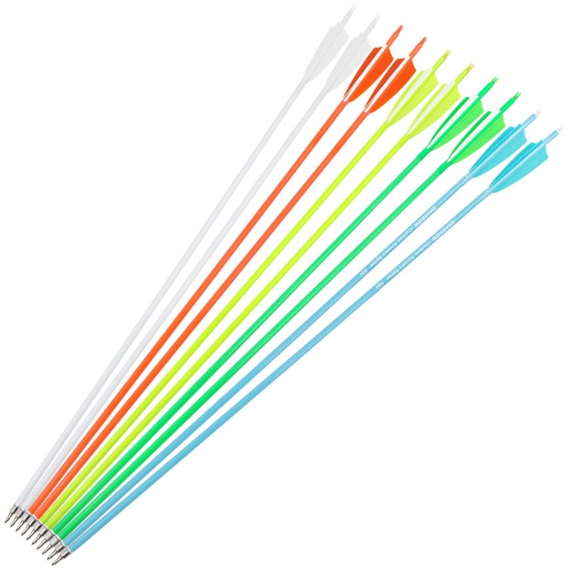 12pcs Archery Carbon Arrows 30" SP500 SP600 Feathers  Hunting Target