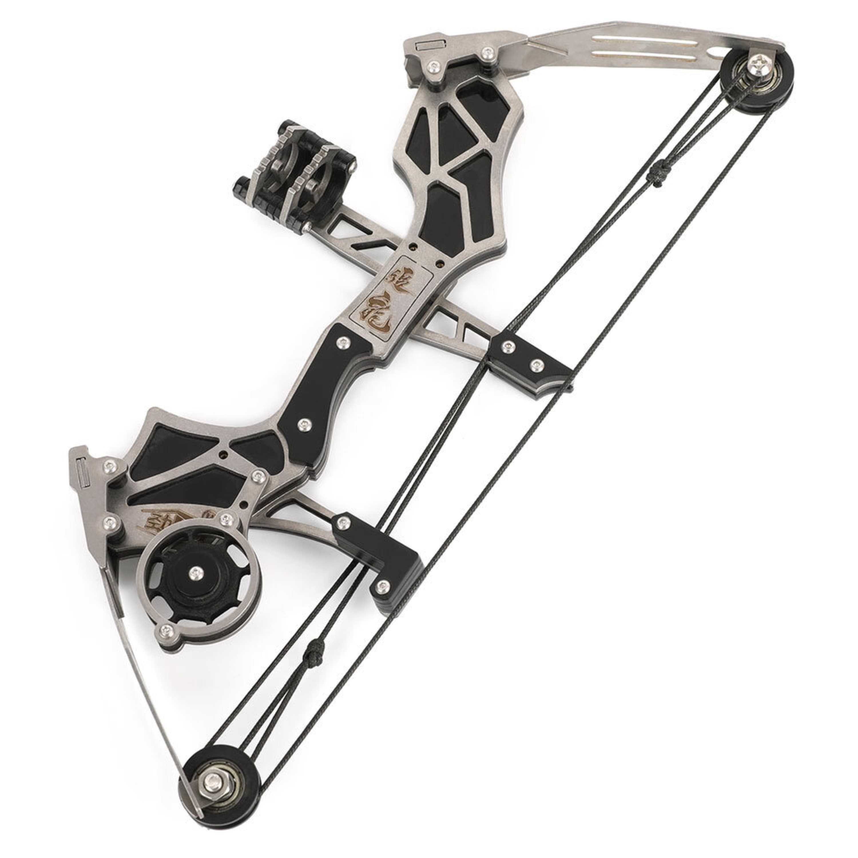  Mini Compound Bow 12 LB Draw Weight Beginner Archery Set