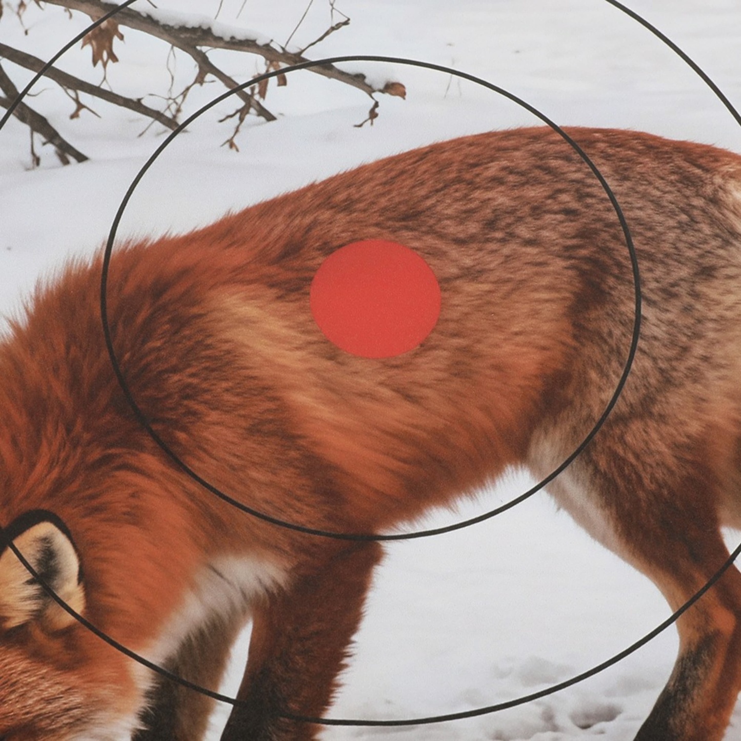 Paper Target Faces 40cm Archery Target Practice Animal Field Face