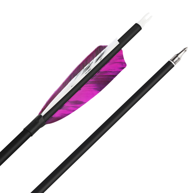 Hunting Practice Arrow Natural Feather Carbon Spine 500