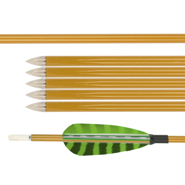 Mixed Carbon Arrows 32" 900 Spine Turkey Feather Target & Practice