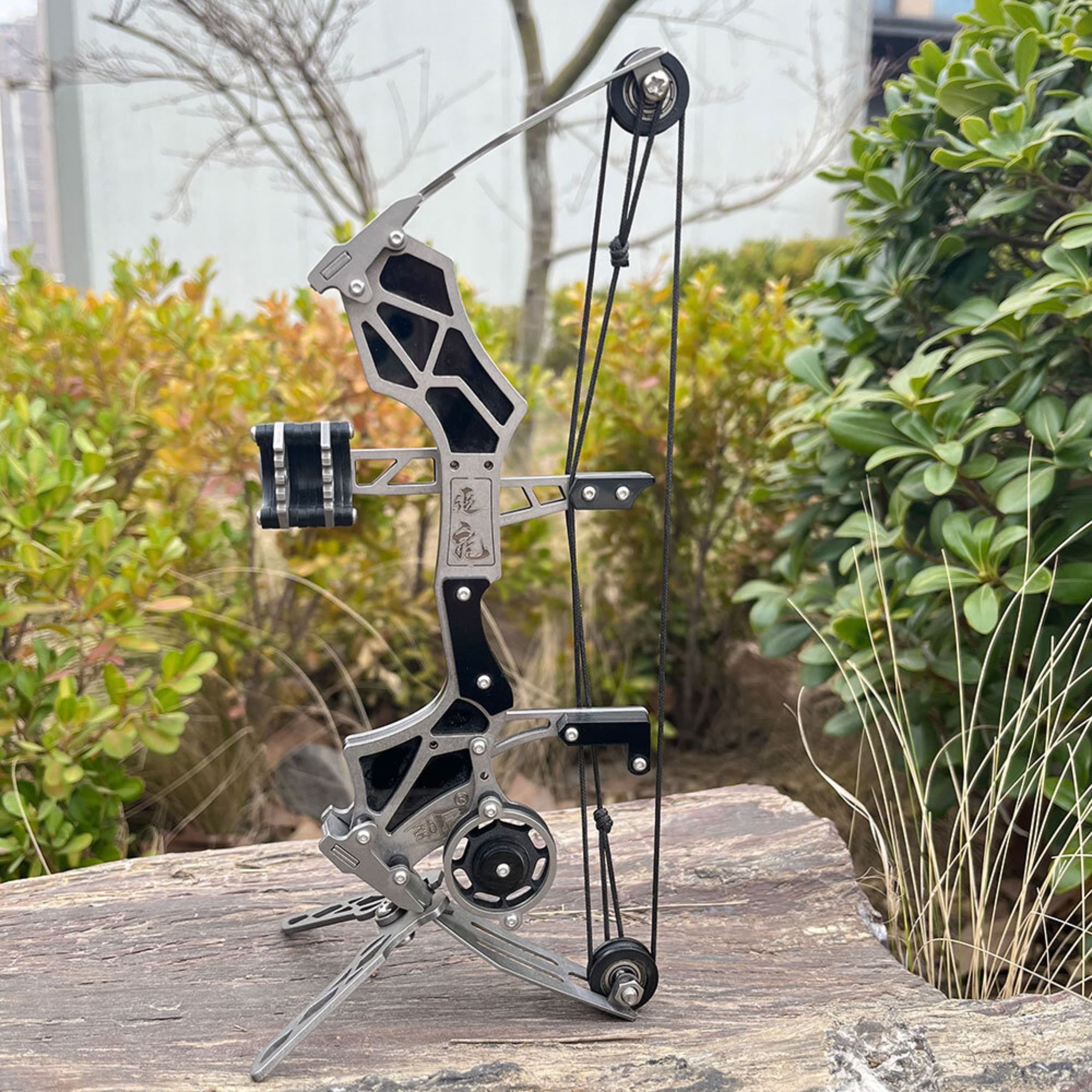  Mini Compound Bow 12 LB Draw Weight Beginner Archery Set