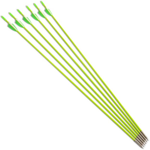 31" Fiberglass Arrows Target Practice Recurve Bow Hunting Shooting