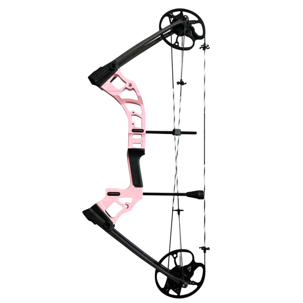 Junxing M121 Compound Bow for Outdoor Hunting RH