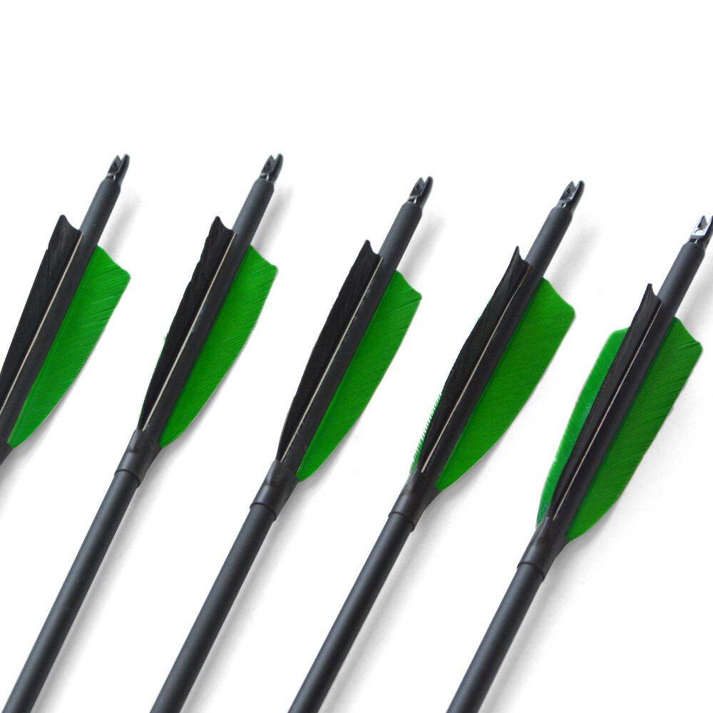 500 Spine Carbon Arrows 33" Turkey Feather 100gr Tips 12pcs