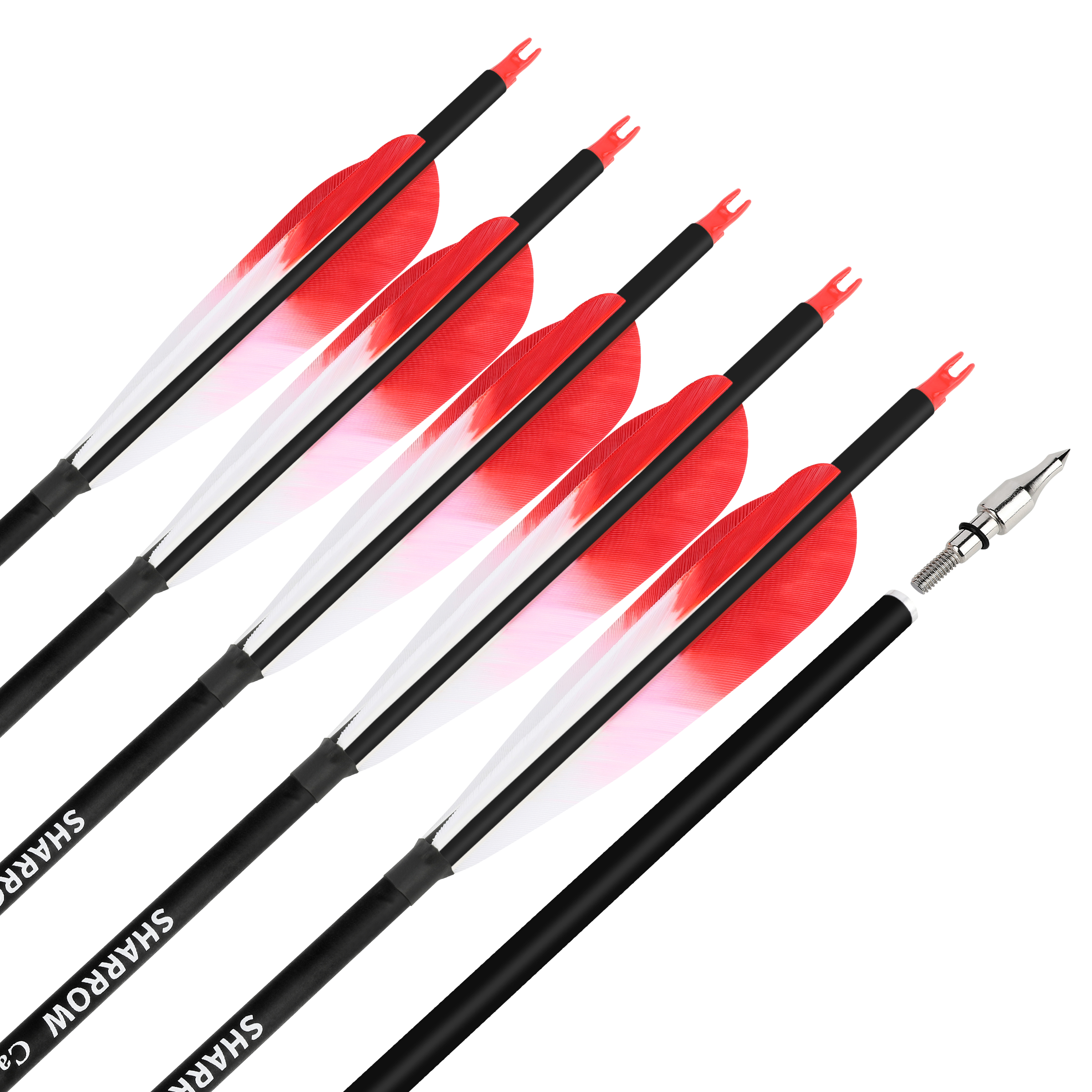 Carbon Arrows Turkey Feather Spine 500 Recurve Bow Hunting