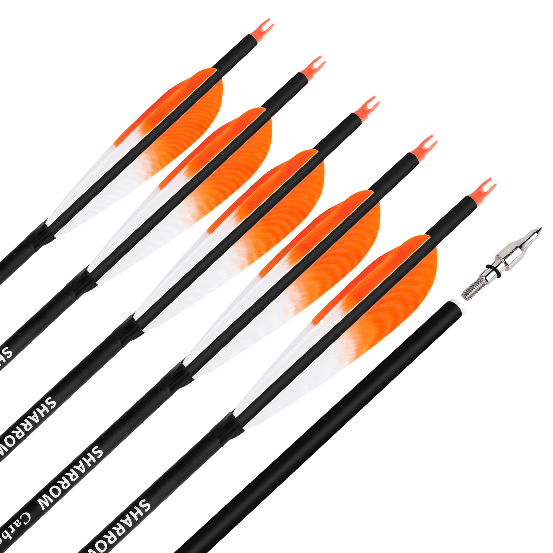 Carbon Arrows Turkey Feather Spine 500 Recurve Bow Hunting